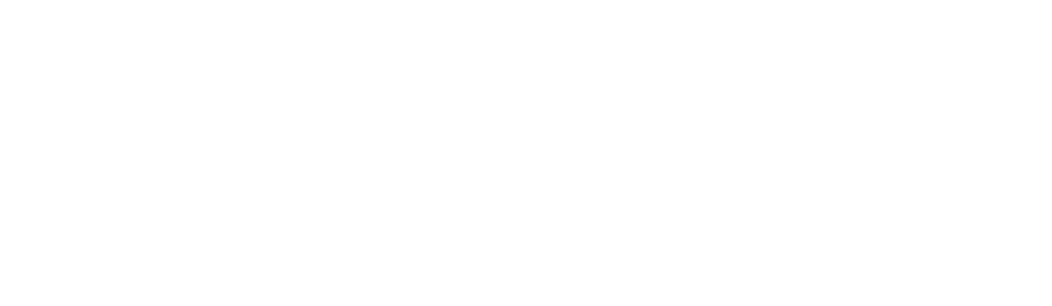 FINNS Bali